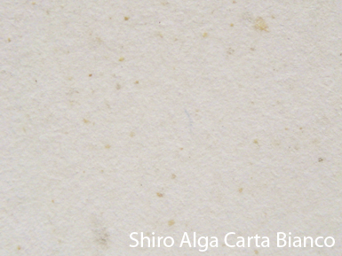 Shiro Alga Carta Bianco